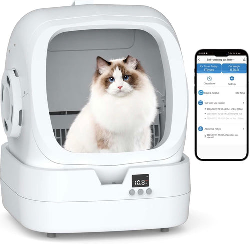 Automatic Litter Box